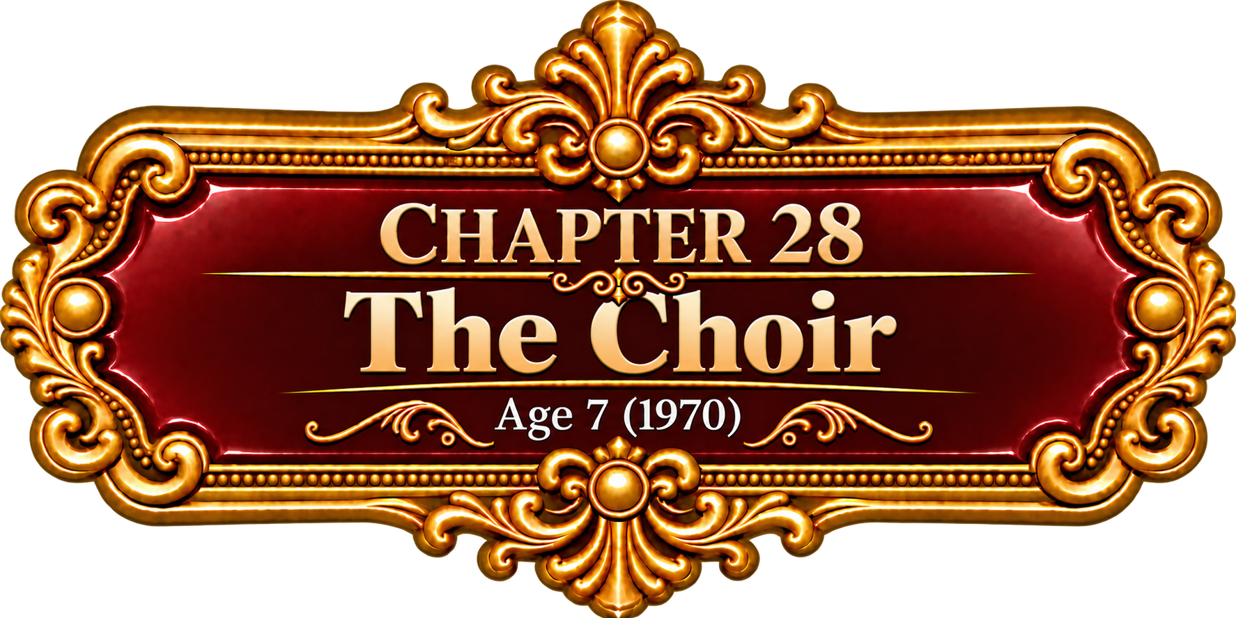 Chapter 28